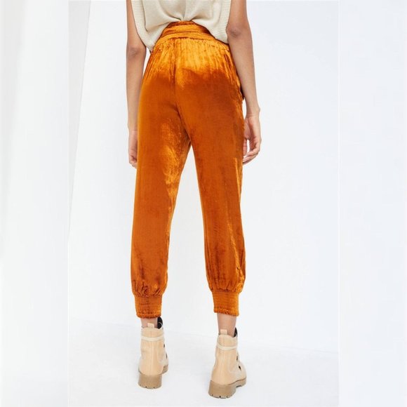 Anthropologie Rosie Embroidered Velvet Joggers NEW - Picture 3 of 7